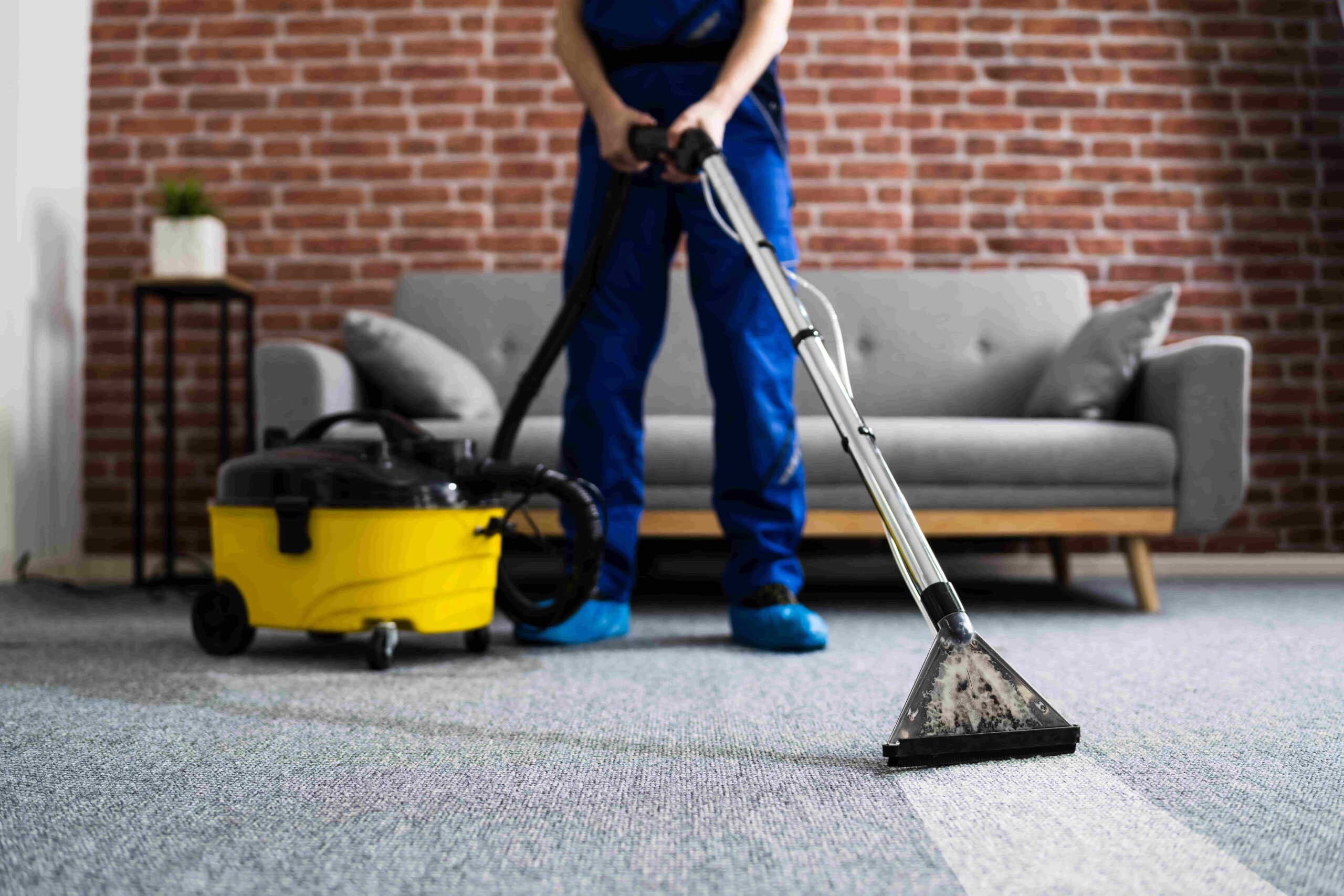 The Ultimate Guide to a Vacuum Cleaner for Minimalist Lifestyle
